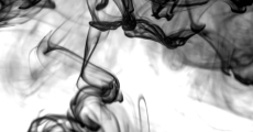 prev
