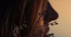 prev
