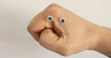 prev