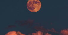 prev