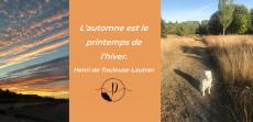 prev