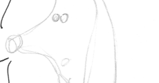 prev