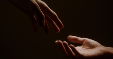 prev