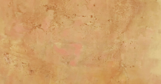 prev