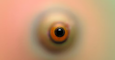 prev