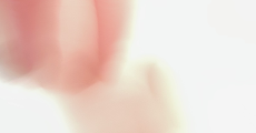 prev