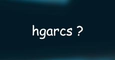 prev
