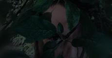 prev