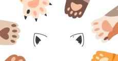 prev