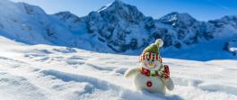 L'enigmatique surfeur des neiges