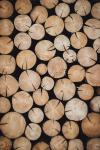 7ème Journée Internationale des forêts à Montner samedi 21 mars