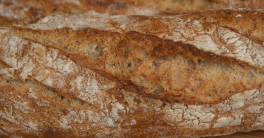 Croûte