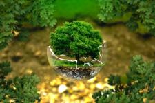 Peut-on encore parler de transition écologique ?