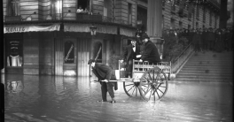15 Evolution génétique