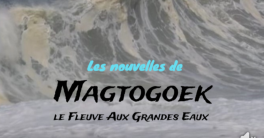 Les nouvelles de Magtogoek #11