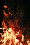LA FLAMME DE LA LIBERTÉ