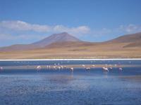 Le clou du spectacle : el Salar de Uyuni