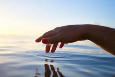 Dans ma baignoire, une histoire d'urine quantique