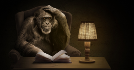 Le singe