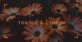 J'ai lu Tortue à l'infini de John Green 