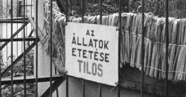 Az utolsó