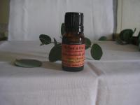 TEA TREE- Arbre à Thé