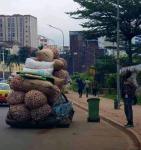SOUS-DEVELOPPEMENT EN AFRIQUE : LE PARADOXE DE L’ABONDANCE