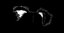 Chapitre 2 - Alors, un chien ?