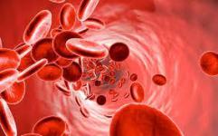 ROUGE EST LE SANG DES HOMMES