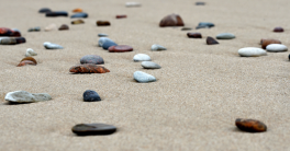Mini expo photo 25 : Un go sur la plage