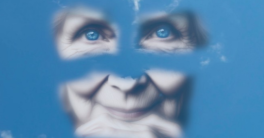 Les yeux bleus.