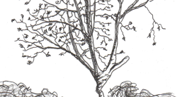 LA FIN