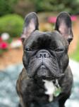 Sans amour... Photo by Samuel Charron on Unsplash