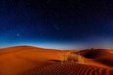 La Lisiere du Desert