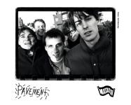 The Twilight of the Venomous Flowers - Pavement - Terror Twilight - Farewell Horizontal 2022