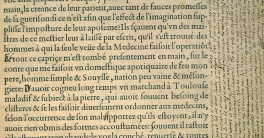 L'humanisme à la Renaissance : les lettres en ébullition