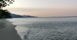 Une bouteille à la mer