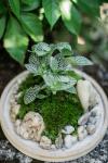 Terrarium - part 2 