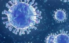 My pandemic story
