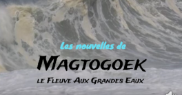 Les nouvelles de Magtogoek #15