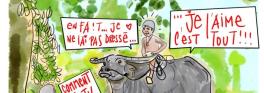 ZEN : LES DIX TABLEAUX DU DRESSAGE DU BUFFLE