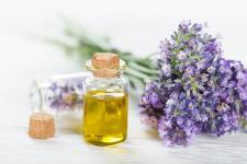 La lavande officinale, votre nouvelle bienfaitrice !