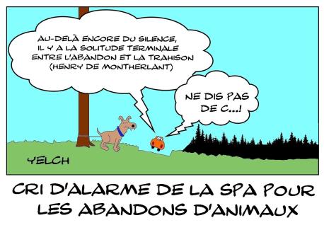 Abandons d'animaux