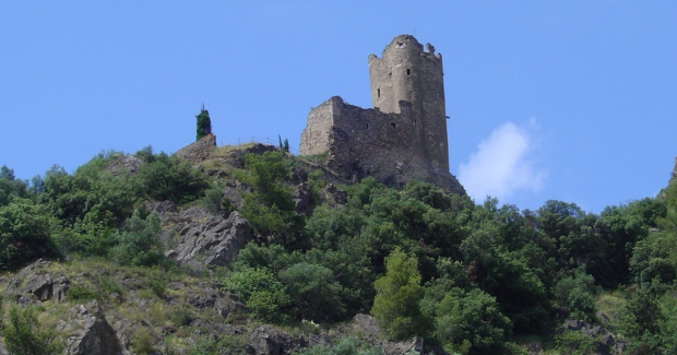 Cathares