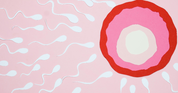 Conception