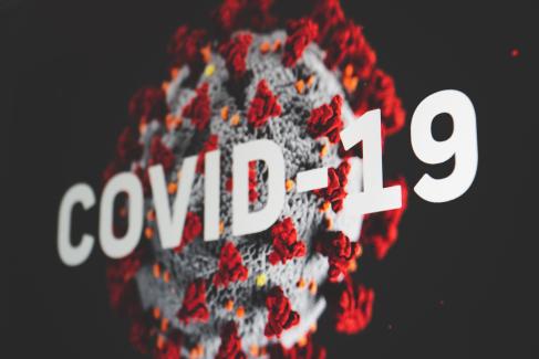 Connerie de virus