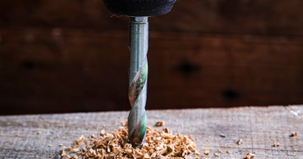 Termite