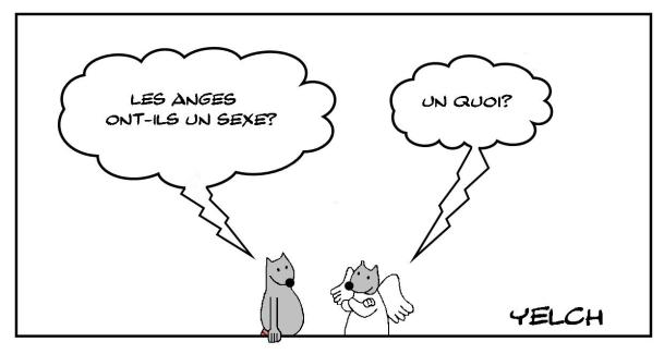 Le sexe des anges