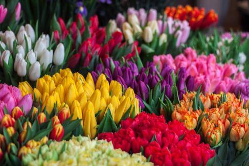 Le langage des fleurs