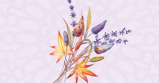 Festina Lente - Chapitre 3
